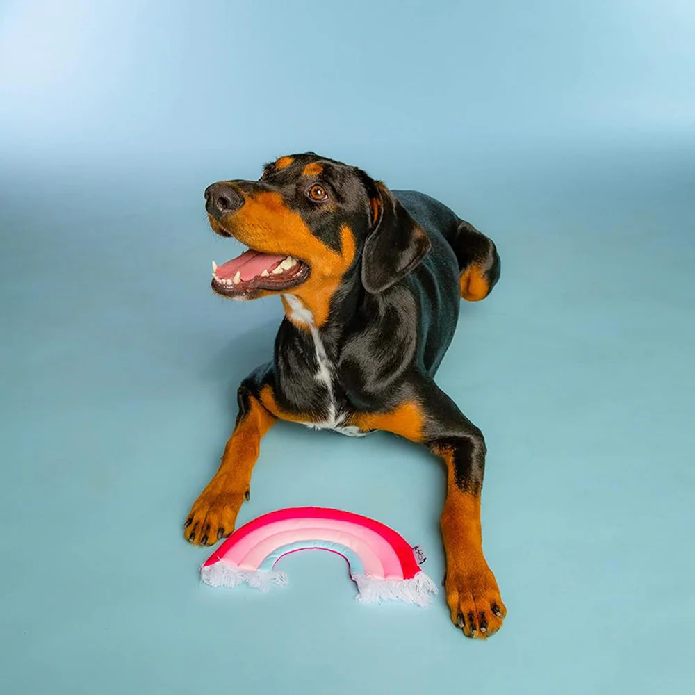 Doggy Parton Pink Rainbow Fringe Toy